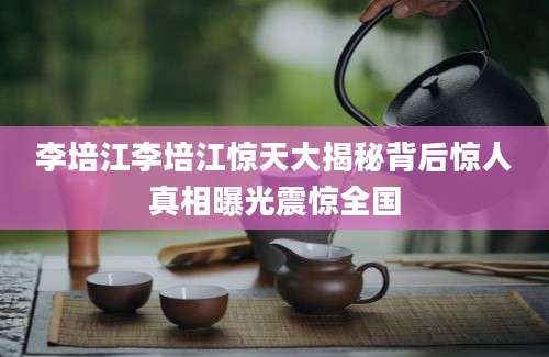 李培江李培江惊天大揭秘背后惊人真相曝光震惊全国