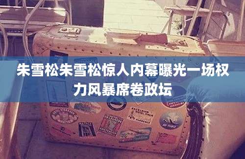 朱雪松朱雪松惊人内幕曝光一场权力风暴席卷政坛