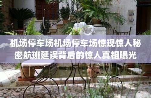 机场停车场机场停车场惊现惊人秘密航班延误背后的惊人真相曝光