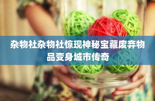杂物社杂物社惊现神秘宝藏废弃物品变身城市传奇