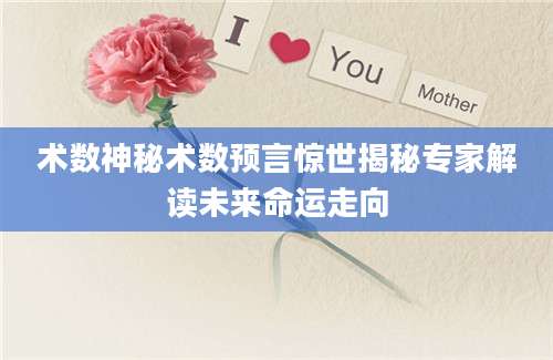 术数神秘术数预言惊世揭秘专家解读未来命运走向
