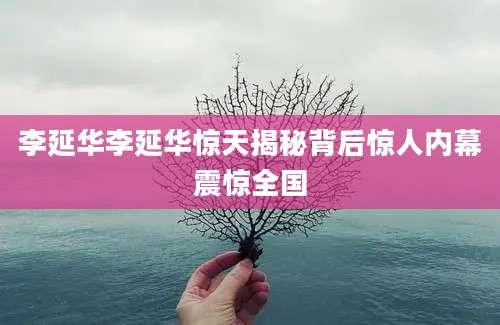 李延华李延华惊天揭秘背后惊人内幕震惊全国