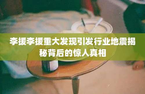 李援李援重大发现引发行业地震揭秘背后的惊人真相